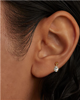 Mono orecchino PDPaola Donna THE NEW ESSENTIALS in Argento Zirconia PG01-724-U - PG01-724-U